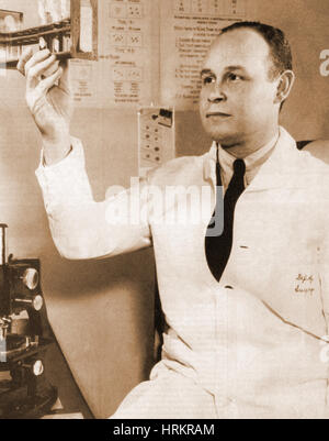 Charles R. Drew, American Surgeon and Reseacher Stock Photo