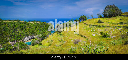 Trees on the Rocktop near Atuh Beach, Nusa Penida, Bali Indonesia Stock Photo