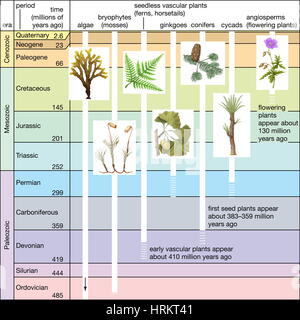 Geologic time scale Stock Photo - Alamy