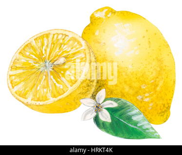 Lemon, citrus fruit Stock Photo