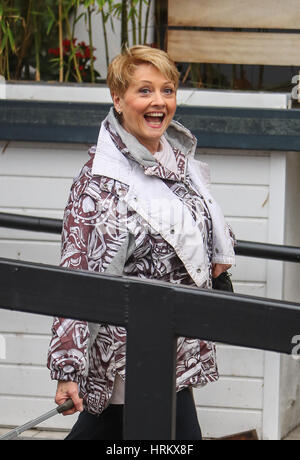 The presenters from Loose Women' leave the ITV Studios after the show  Featuring: Anne Diamond Where: London, United Kingdom When: 30 Jan 2017 Stock Photo