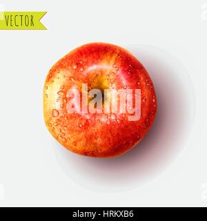 Apple with water drops, vector illustration Stock Vector
