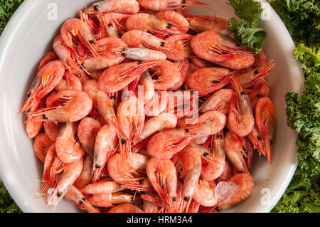 Raw fresh prawns in a large bowl Stock Photo