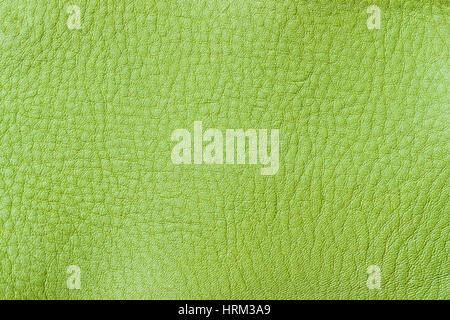 Texture of genuine leather close-up, fashion spring green color. For background , backdrop, substrate, composition use. With place for your text Stock Photo
