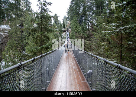 Capilano Suspension bridge North vancouver British Columbia Canada. Capilano Suspension bridge. Stock Photo