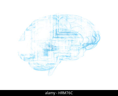 Human brain and circuit board on white background Stock Photo