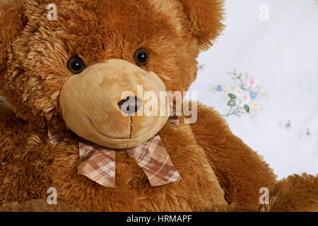 portrait cute teddy bear, brown teddy-bear, friend smile toy Stock Photo