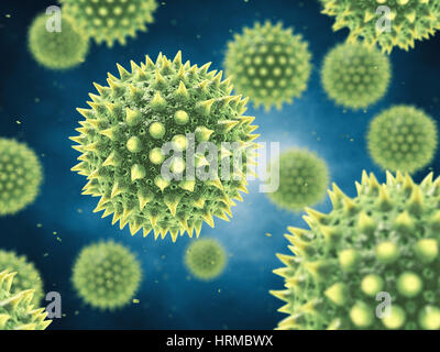 Pollen allergy is also known as hay fever or allergic rhinitis , Airborne pollen grains Stock Photo