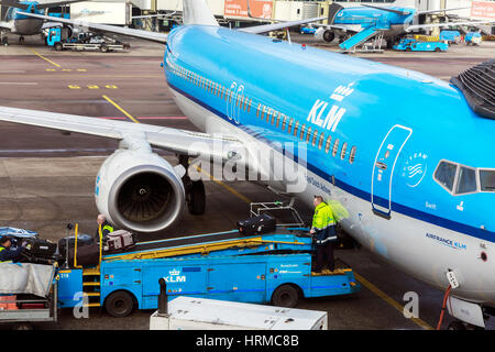 KLM, Royal Dutch Airlines, Boeing 737 8K2 at Schiphol airport, Amsterdam having luggage unloaded Stock Photo