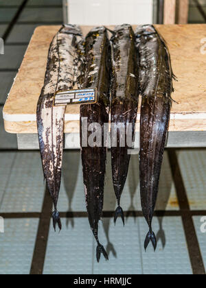 Funchal, Madeira, Portugal - December 10, 2016: Black scabbard fish (espada in portuguese) in fish market of Funchal, Madeira, Portugal. Fish from Atl Stock Photo