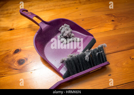 Dustpan and brush set with ball of dust on floor in room inside house Stock Photo