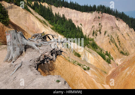 Deep ravine, erosion landscape Stock Photo