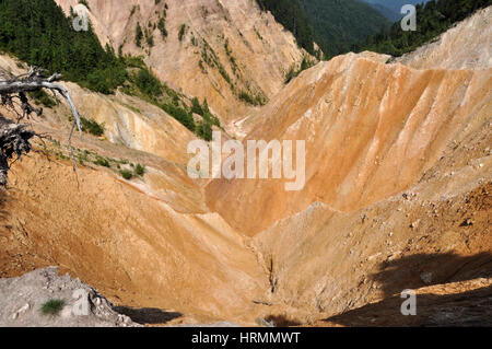 Deep ravine, erosion landscape Stock Photo