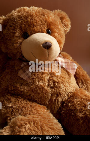 Teddy bear toy on the left side of an image over yellow background ...