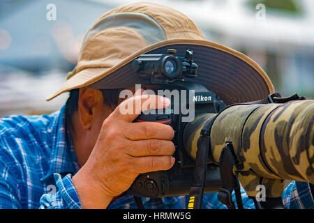 Sydney, Australia - 3rd March 2017: Australian Open of Surfing Sports Event at Manly Beach, Australia featuring Surfing, BMX, Skating and Music.  Pictured are photographers covering the surfing during the event.  Credit: mjmediabox / Alamy Live News Stock Photo