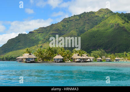 Luxury thatched roof bungalows in a honeymoon resort at the coast of a pacific lagoon on the tropical island Moorea, near Tahiti in French Polynesia. Stock Photo