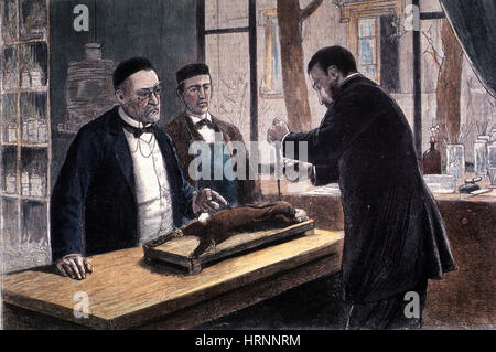 Louis Pasteur, French Chemist and Bacteriologist Stock Photo