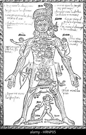 Zodiac Man, Medical Astrology Stock Photo