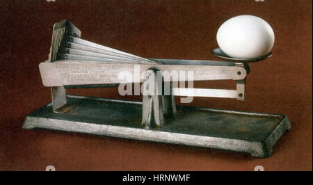 https://l450v.alamy.com/450v/hrnwmf/acme-egg-grading-scale-1924-hrnwmf.jpg