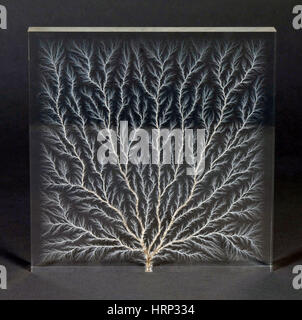 Electron Tree or Lichtenberg Figure Stock Photo - Alamy