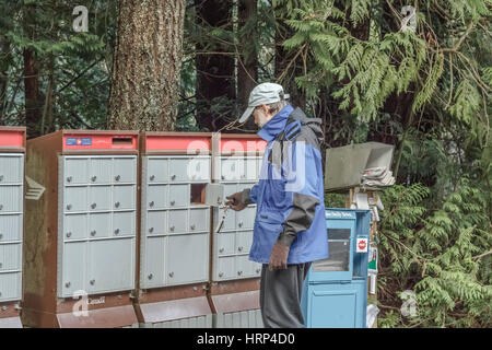 A man in a blue raincoat, hat and gloves picks up his mail from a Canada Post rural community mailbox with forest in background (British Columbia). Stock Photo