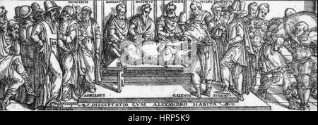 PIG ANATOMY, DRAWING Stock Photo: 48418715 - Alamy