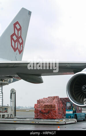 Luxembourg, Findel, 30.11.2005. illustration of Cargolux business in Luxembourg Airport. Stock Photo