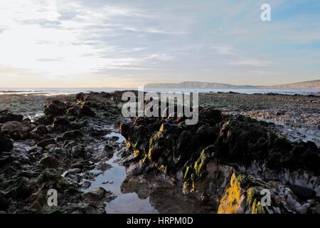 algae covered rocks at low tide, Compton Bay, Isle of Wight Stock Photo