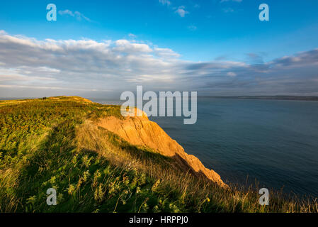 Evening sunlight on the cliffs at Filey Brigg at Filey on the coast of North Yorkshire, England. Stock Photo