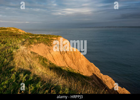 Evening sunlight on the cliffs at Filey Brigg at Filey on the coast of North Yorkshire, England. Stock Photo