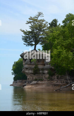 A tree on top of a rock formation on a lake, Chapel Rock, Pictured Rocks National Lakeshore, Upper Peninsula, Michigan Stock Photo