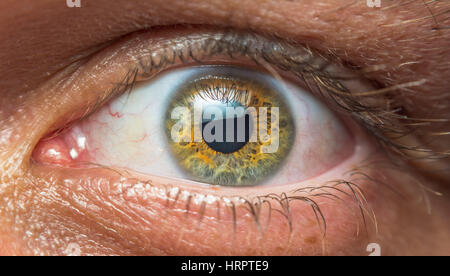 Extreme detailed close up of a human eye with different colors, shapes and patterns. Stock Photo