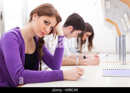Group of students at work Stock Photo