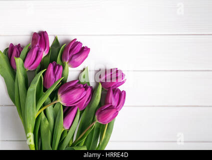 Purple tulips on the white wooden bakcground, top view Stock Photo