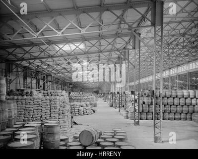 New York Central Freight Sheds, Buffalo, New York, USA, Detroit Publishing Company, 1900 Stock Photo