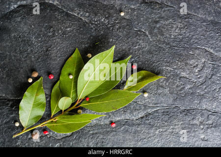 Sprig of fresh bay leaf and pepper on black stone background. Plenty of space for text. Stock Photo