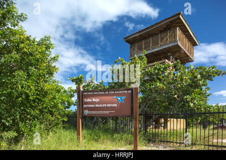 VIEWING PLATFROM CABO ROJO NATIONAL WILDLIFE REFUGE PUERTO RICO Stock Photo