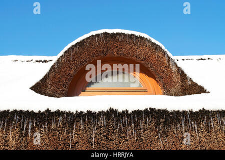 Reed roof in winter time Stock Photo
