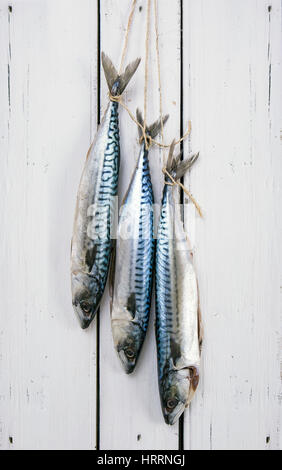 Three Fresh Mackerel hung on an old wooden door with string Stock Photo