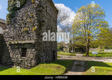 Rushen Abbey, Ballasalla, Isle of Man. Stock Photo