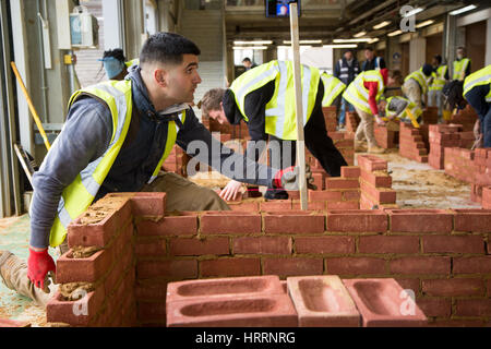 Apprentice builders learning how to construction skills Stock Photo - Alamy