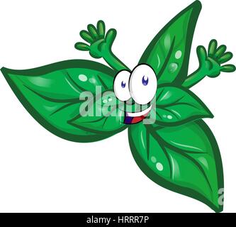 basil cartoon  isolated on white background Stock Vector