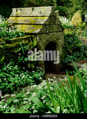 The Well of Saint Keyne in Cornwall, who gave the waters a strange ...