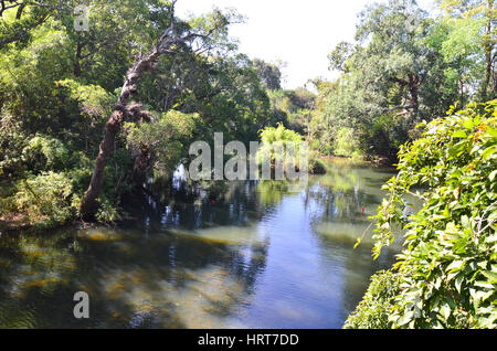 Scenic beauty of Cauvery Nisargadhama reserve forest is a tourist attraction Stock Photo