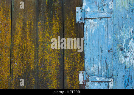 Real brown wood planks and painted in blue color texture. Close up of details of old retro or vintage door of weathered barn on country farm. Horizont Stock Photo