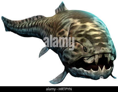 Placoderm, Extinct Fish Stock Photo - Alamy