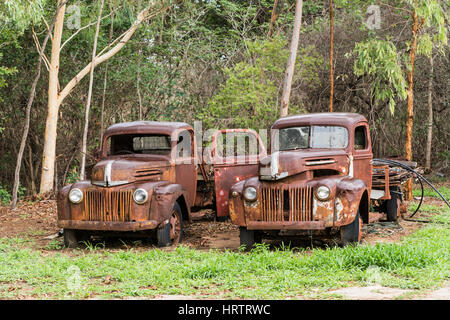 Two old abandoned rusty Ford trucks in field Stock Photo