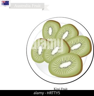 Australia Fruit, Illustration of Kiwifruit or Chinese Gooseberry. One of Most Popular Fruits in Australia. Stock Vector