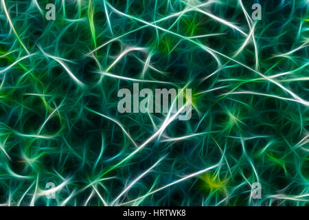 Neural network background. Neurons connections painted different colors. Stock Photo