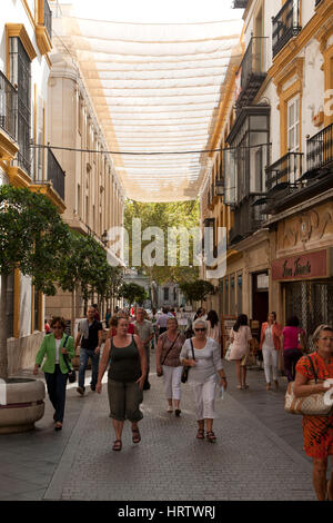 Covered shopping street in Seville Spain Stock Photo, Royalty Free ...